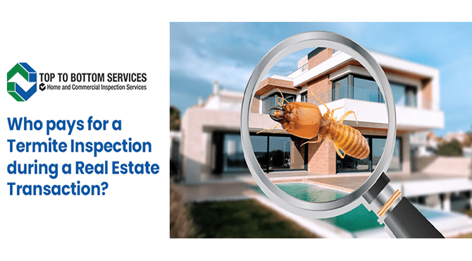 Who Pays For A Termite Inspection During A Real Estate Transaction?